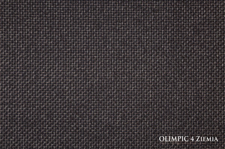 OLIMPIC4ZIEMIA_small.jpg