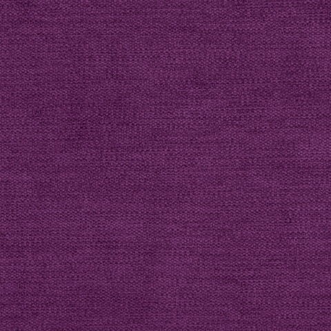 milton10violet.jpg