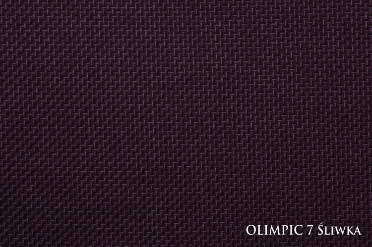 OLIMPIC7SLIWKA_small.jpg