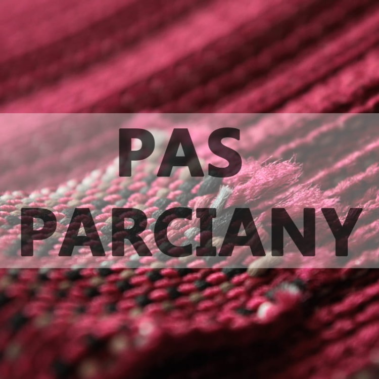 pas parciany logo.jpg