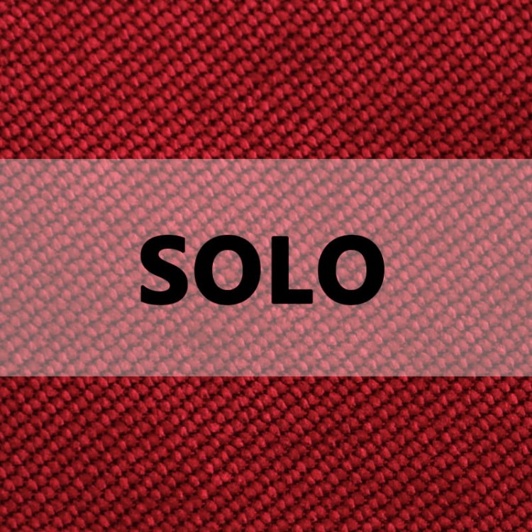 SOLO logo.jpg