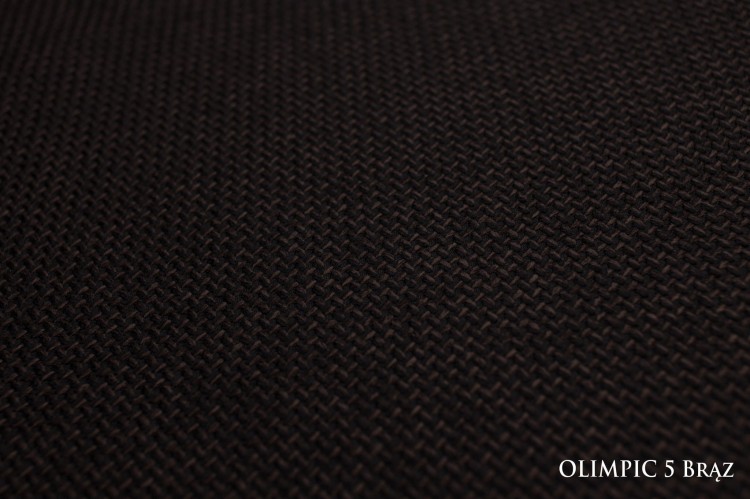 OLIMPIC5braz_small.jpg