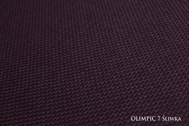 OLIMPIC7sliwka_A_small.jpg