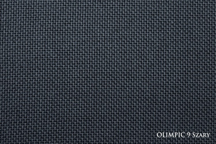 OLIMPIC9SZARY_small.jpg