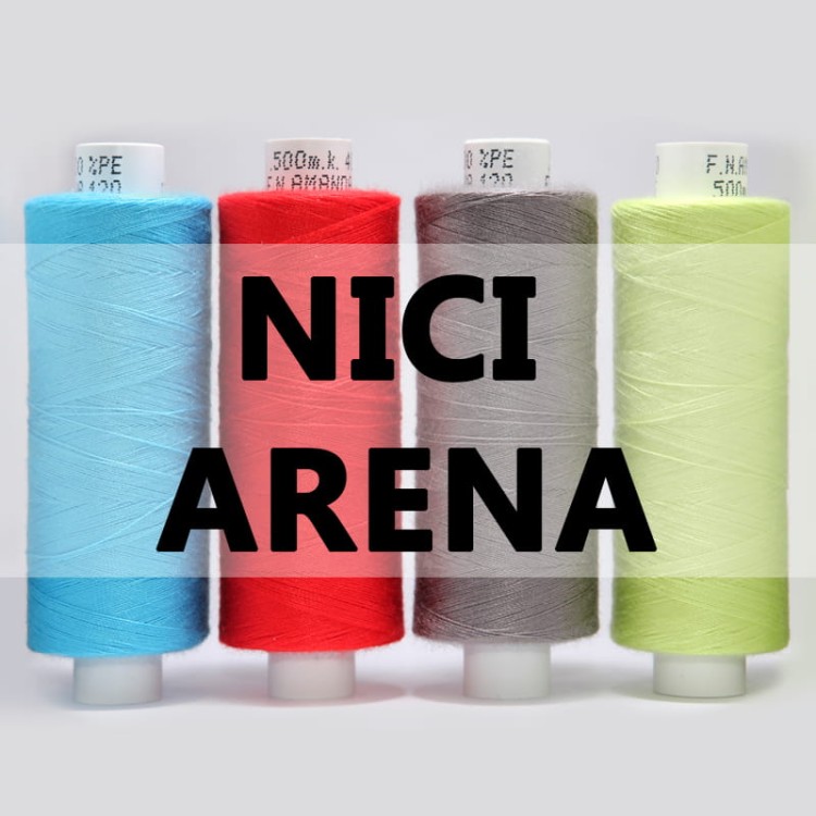 LOGO NICIO ARENA.jpg
