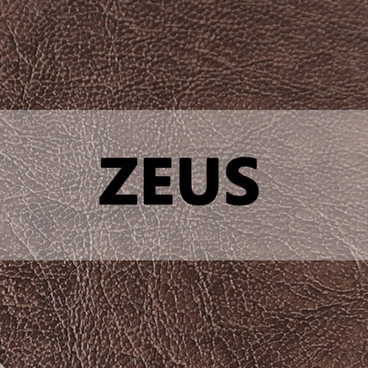 Zeus logo.jpg
