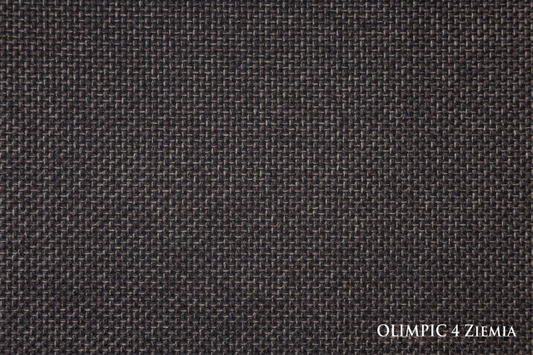 OLIMPIC4ZIEMIA_small.jpg