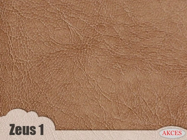 Zeus 1.jpg