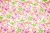 IMG_2648small .jpg