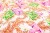 IMG_2651small .jpg