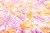 IMG_2666small .jpg