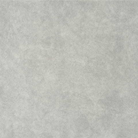 zoya1.jpg