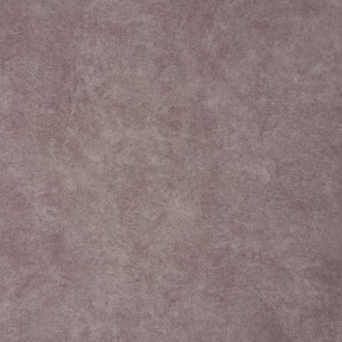 zoya3.jpg