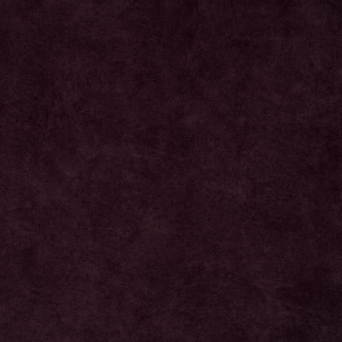 zoya4.jpg