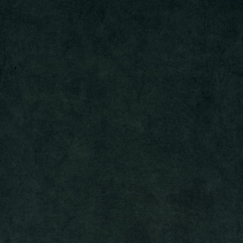 zoya6.jpg