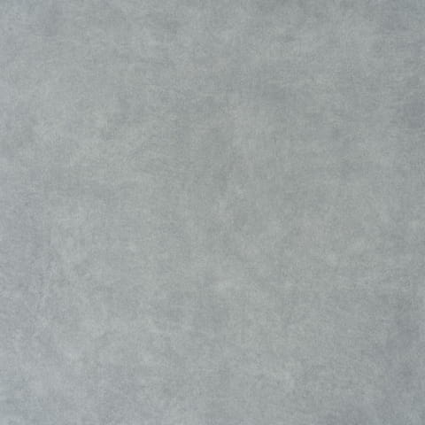 zoya12.jpg