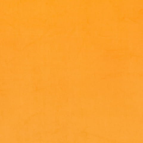 2212.jpg