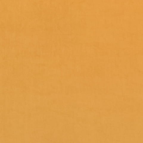 2215.jpg