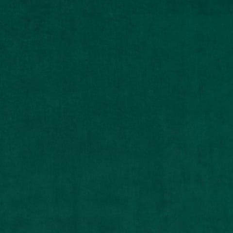 2225.jpg