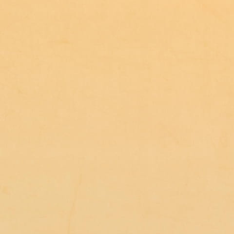 2228.jpg