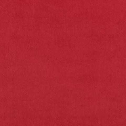 2231.jpg