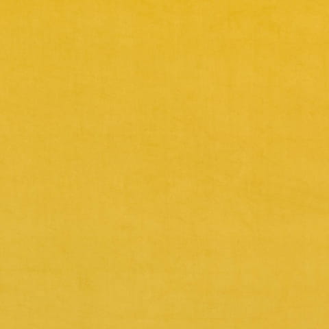 2234.jpg