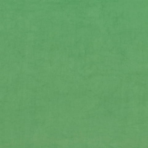 2235.jpg