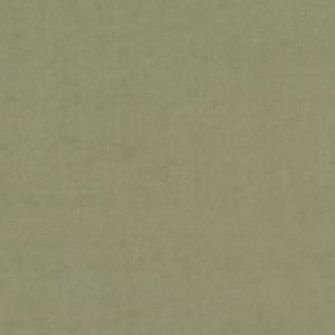 2243.jpg