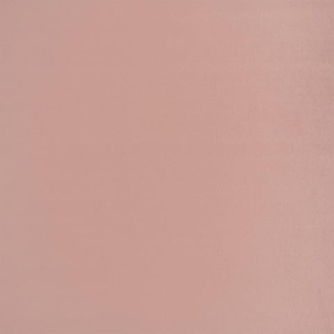 2264.jpg