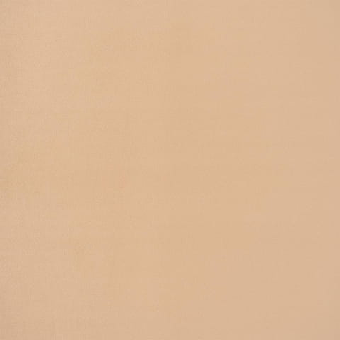2281.jpg