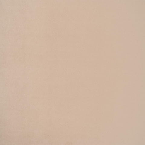 2282.jpg