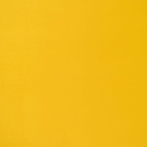 2290.jpg