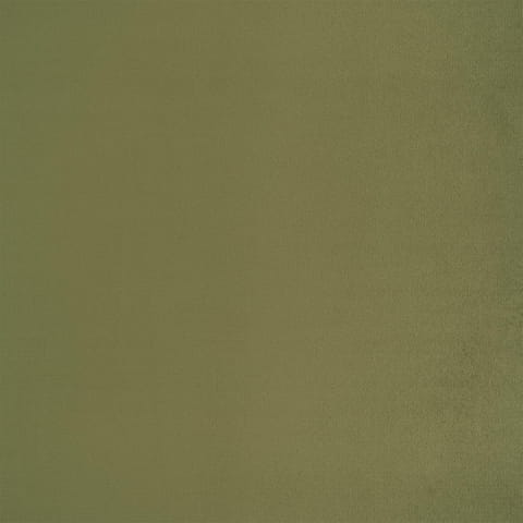 2294.jpg