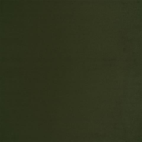 2295.jpg