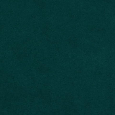 2911.jpg