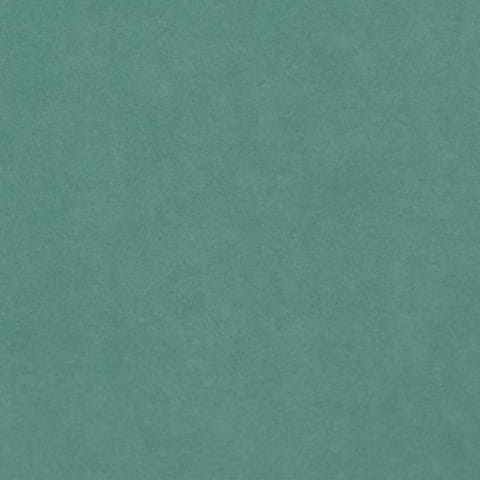 2914.jpg