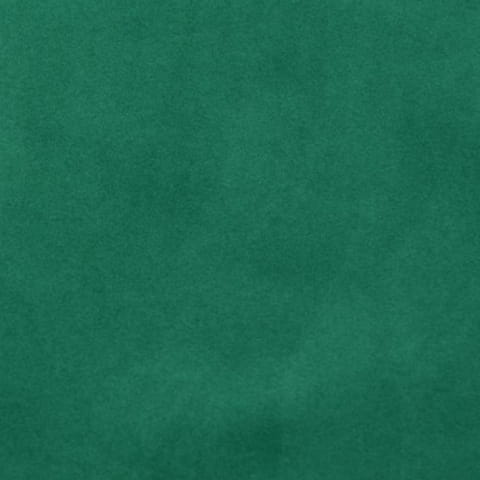 2915.jpg
