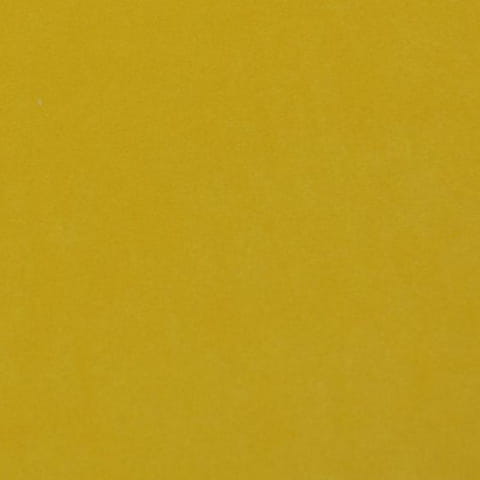 2916.jpg