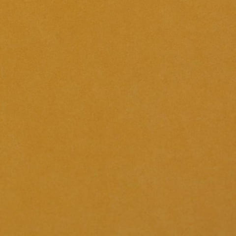 2917.jpg