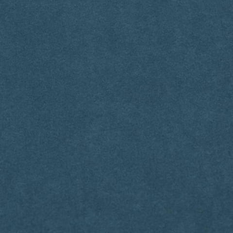 2920.jpg