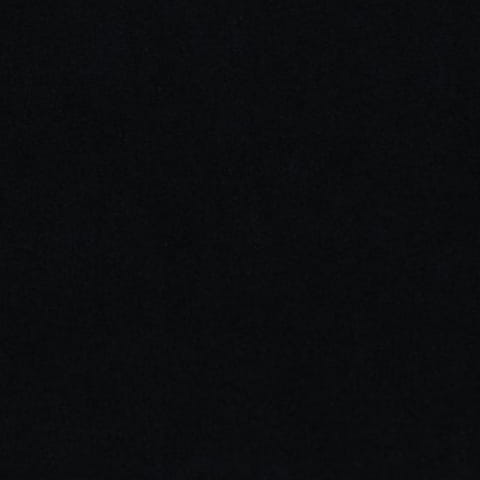 2923.jpg
