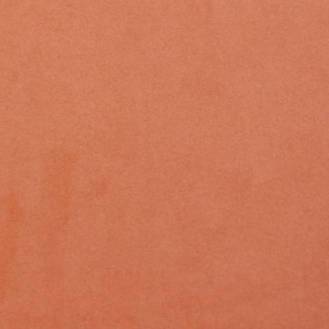 2933.jpg