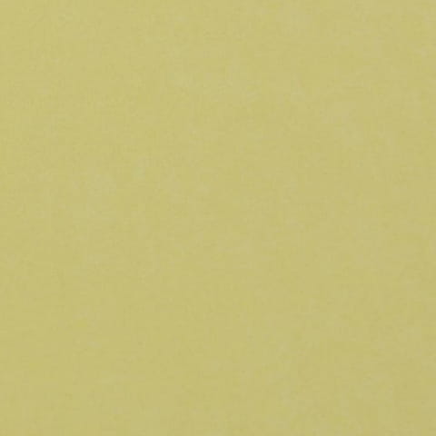 2937.jpg