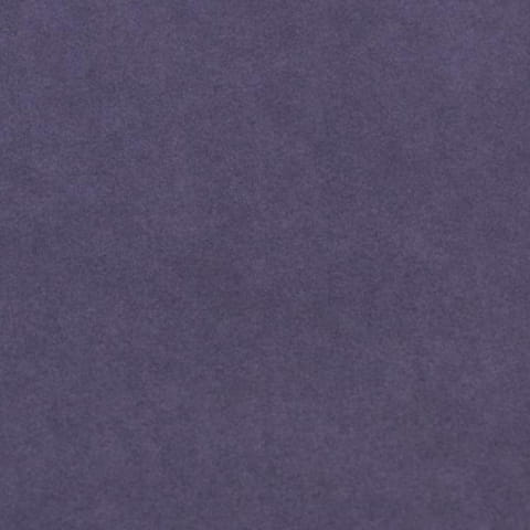 2938.jpg