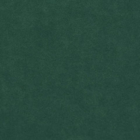2940.jpg