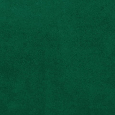 2941.jpg