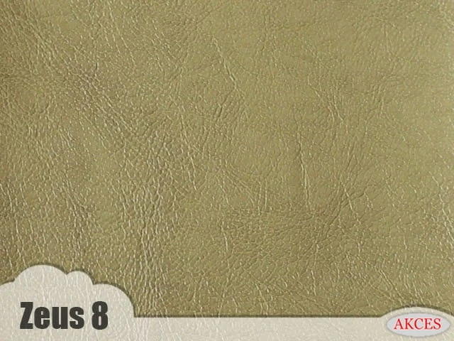 Zeus 8.jpg