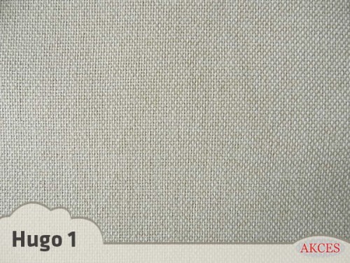 hugo 1.jpg