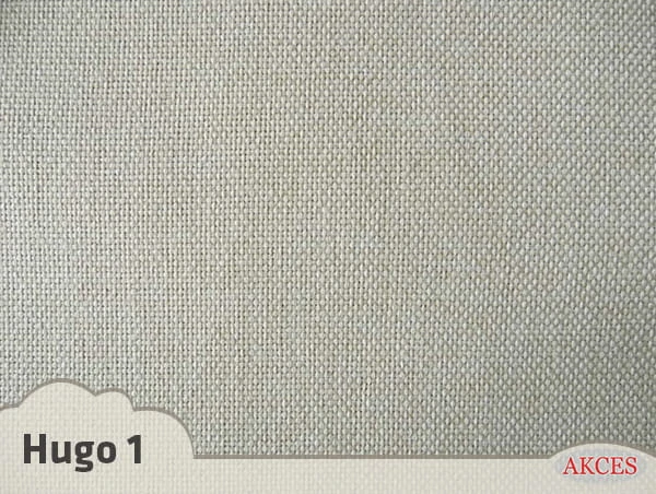 hugo 1.jpg
