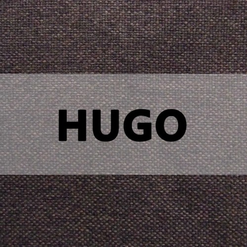 HUGO logo.jpg